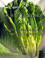 Romaine lettuce