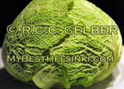 Savoy cabbage