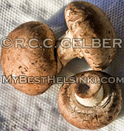 crimini mushroom