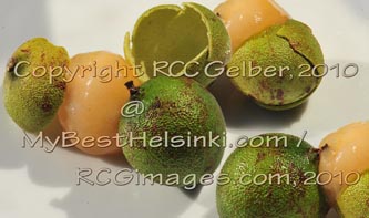 Quenepas